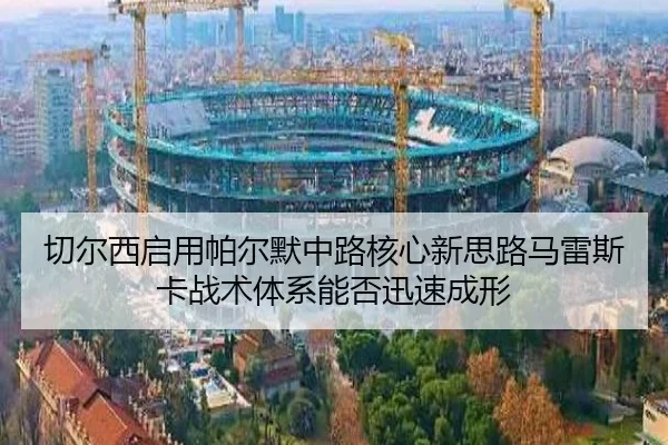 qie-er-xi-qi-yong-pa-er-mo-zhong-lu-he-xin-xin-si-lu-ma-lei-si-ka-zhan-shu-ti-xi-neng-fou-xun-su-cheng-xing-2-497.jpg
